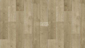 Линолеум Tarkett Фаворит MONDO 3 фото 1 | FLOORDEALER